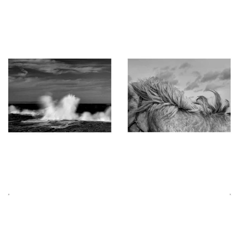 Collection de photographies de - Photography University avis et prix